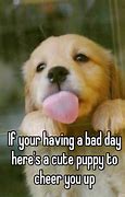 Image result for Cheer Up Dog