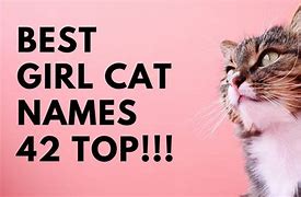 Image result for Funny Girl Cat Names