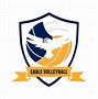 Image result for Volleyball Logo Design