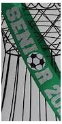 Image result for Extrordinary Senior Soccer Banners
