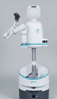 Image result for Robot Helper