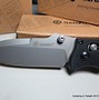 Image result for Knife Pivot Hinge