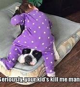 Image result for Relatable Funny Dog Memes