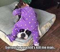 Image result for Cute Puppy Memes Funny