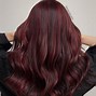 Image result for Burgundy Plum Hair Color