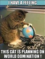 Image result for Cat Meme Planning
