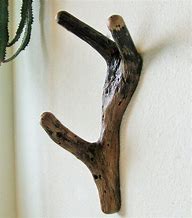 Image result for Tree Branch Coat Hooks