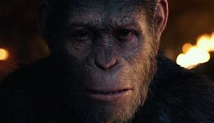 Image result for Caesar Died Wars of the Planets of the Ape