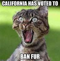 Image result for California Fire Meme