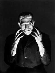 Image result for Frankenstein Horror