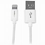 Image result for Apple Charger Cable