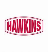 Image result for Hawkins Chemical Plant Explosion