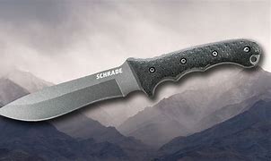 Image result for Schrade Knives 9601