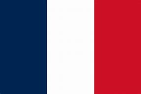 Image result for French France Flag