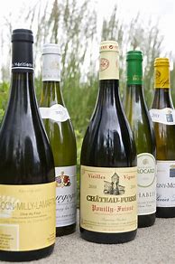 Image result for Bainton Chardonnay Wollemi