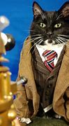 Image result for Cat Sister From Doctor Who