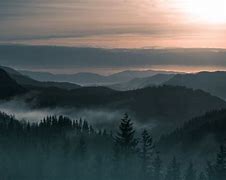 Image result for Fog Forest Wallpaper
