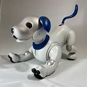 Image result for Aibo Ers 1000 Collar