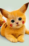 Image result for Pikachu as a Cat