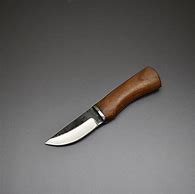 Image result for Carbon Steel Skinner Knife