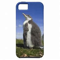 Image result for iPhone 5 Cases Fuzzy