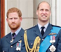 Image result for Prince William and Prince Harry Different Looks