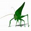 Image result for Cricket Bug Anime Girl