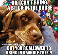 Image result for Hilarious Christmas Memes