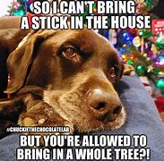 Image result for Moving Christmas Memes