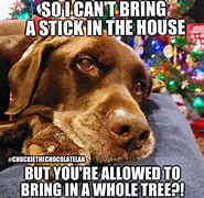Image result for Holiday Memes