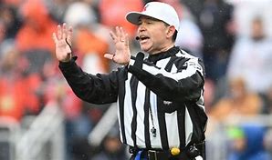 Image result for Lion as a NFL Referee
