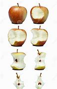 Image result for Evolution Apple Eaten
