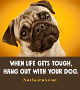 Image result for Funny Positive Quotes