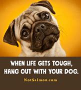 Image result for Hilarious Quotes and Sayings