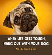 Image result for Fun Laughing Quotes About Life
