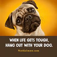 Image result for Funny Slogans and Sayings
