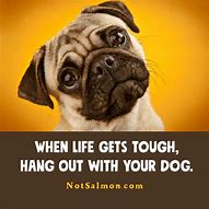 Image result for Life Is Short Quotes Funny
