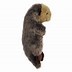 Image result for Build a Bear Otter