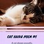 Image result for Cat Poems Book