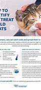 Image result for Cat Cold Medicine Tablet