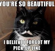 Image result for You Are Beautiful Funny Meme