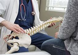 Image result for Chiropractor Education