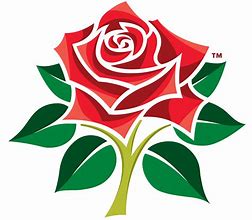 Image result for Dragon and Rose Cricket Logo