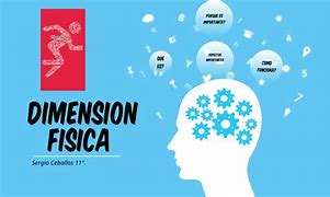 Image result for Dimension Fisica