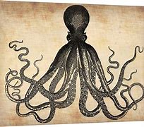 Image result for Vintage Octopus