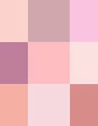 Image result for iPhone 13 Pink versus Gold