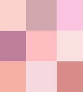 Image result for Black vs Pink iPhone 25
