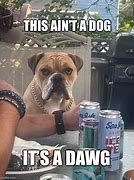 Image result for That's Right Dawg Meme