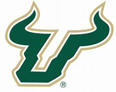 Image result for USF Bulls Logo
