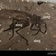 Image result for Dinosaur Bones Found